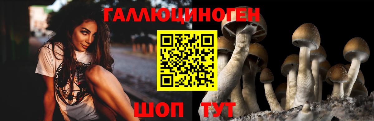 Псилоцибиновые грибы ЛСД Лениногорск